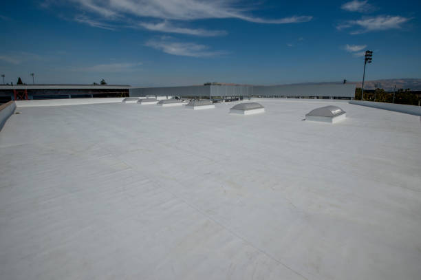 Best Gutter Installation and Repair  in Roanoke, TX