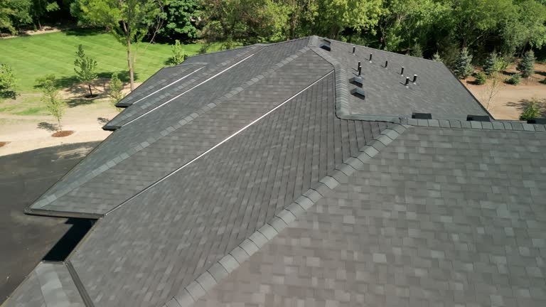 Best Solar Panel Roofing Installation  in Roanoke, TX