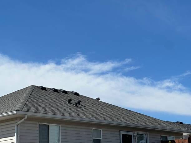 Best Cold Roofs  in Roanoke, TX